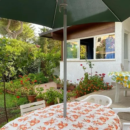 Villa Paradise