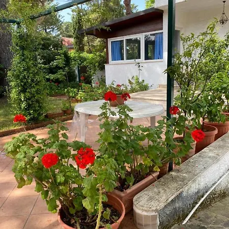 Villa Paradise Villa